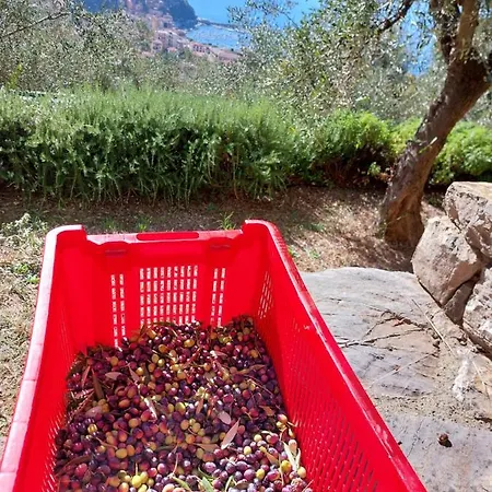 Miralunga Gialla Apartman Lerici