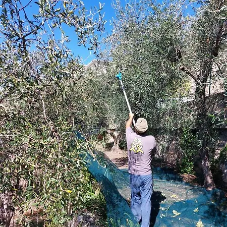 Miralunga Gialla Apartman