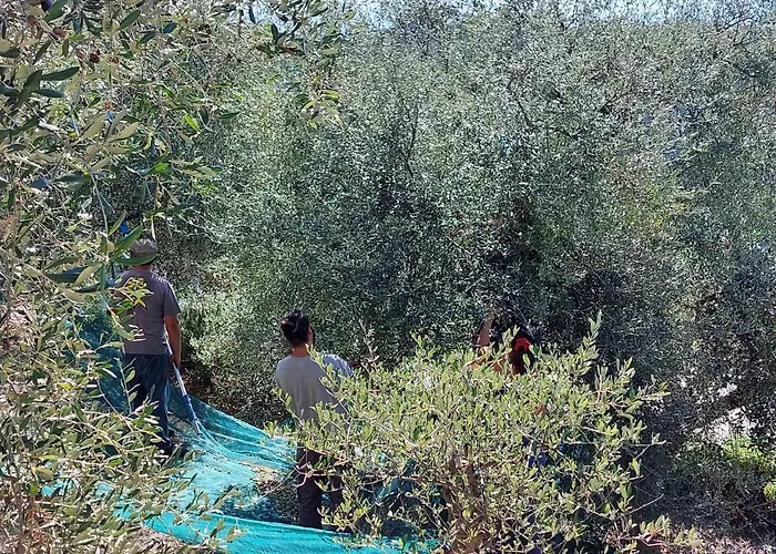 Lejlighed Miralunga Gialla